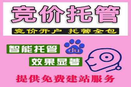 竞价推广中的移动端优化策略：基于移动用户的成功案例